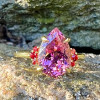 5.4ct Pear Cut Fuchsia Sapphire Cluster Engagement Ring
