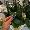 12ct Oval Cut Blue Sapphire Halo Engagement Ring