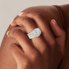 23ctw Men's Iced Out Ring in Sterling Silver