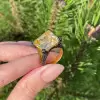 12ct Princess Cut Yellow Sapphire Bold Paved Ring