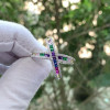 Wide Shank Rainbow Sapphire Cross Ring