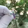 Wide Shank Rainbow Sapphire Cross Ring