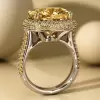 12ct Halo Cushion Cut Classic Paved Ring