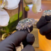 14ct Emerald Cut Aquamarine Cluster Cocktail Ring