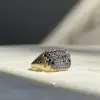 2.5ctw Multicolor Sapphire Paved Cocktail Ring