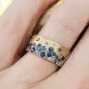 Flush Set Multicolor Sapphire Starry Band Rainbow Ring