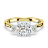3ct Cushion Cut Three Stone Two Tone Wedding Ring Set