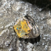 6ct Radiant Cut Yellow Sapphire Engagement Ring