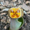 10ct Yellow Sapphire Hammered Finish Cocktail Ring