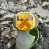 10ct Yellow Sapphire Hammered Finish Cocktail Ring