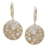 Flush Set Sandblasted Disc Starry Drop Earrings