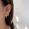 Flush Set Matte Huggies With Dangles Earrings