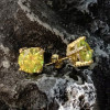2ct Round Cut Peridot Double Under Halo Stud Earrings