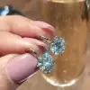 Brilliant Round Cut Drop Earrings