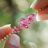Pear Cut Pink Sapphire Flower Layered Necklace in Gold