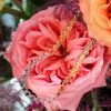 35ctw Bezel-set Heart Cut Multicolor Sapphire Rainbow Necklace