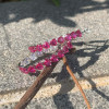7.5ctw Heart Cut Ruby Hoop Earrings