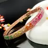 6ctw Round Cut Multicolor Sapphire Paved Rainbow Bangle