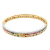 Flush Set Multicolor Sapphire Two Tone Rainbow Starry Bangle