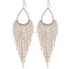 Tassel Rhinestone Claw Chains Earring