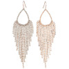 Tassel Rhinestone Claw Chains Earring