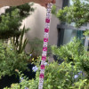 30ctw Princess Cut White and Pink Sapphire Tennis Bracelet