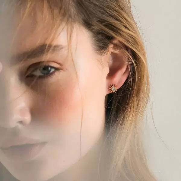 Designer Brand Star Moon Asymmetric Earring